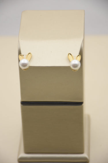 Stainless Steel Earrings Gleaming in 18K Gold
